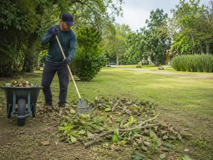 Limpieza de parcela y retiro de residuos vegetales