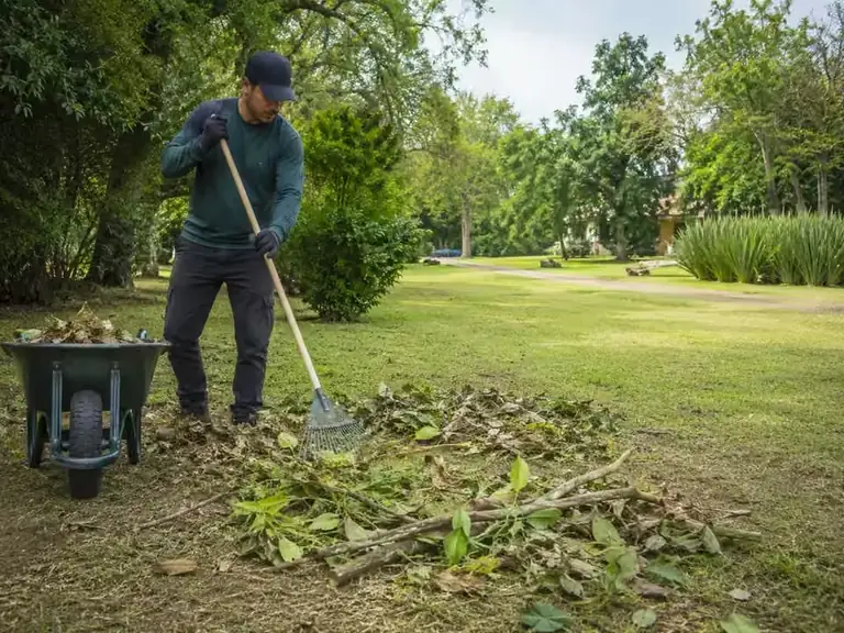 Limpieza y despeje de una parcela con vegetación y residuos vegetales
