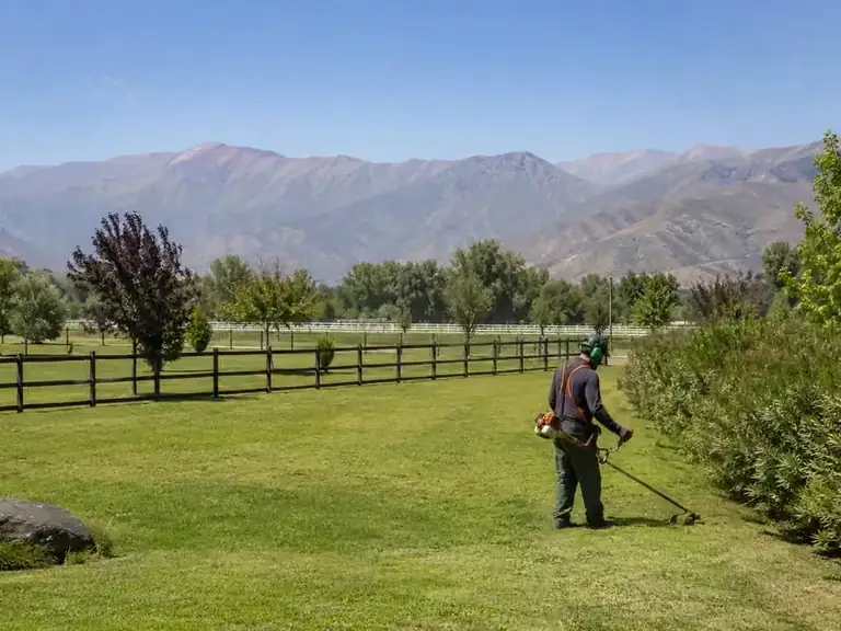 Mantención de parcela con césped, árboles y una gran superficie verde