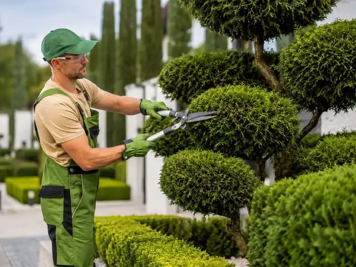 Poda de arbustos en un jardín
