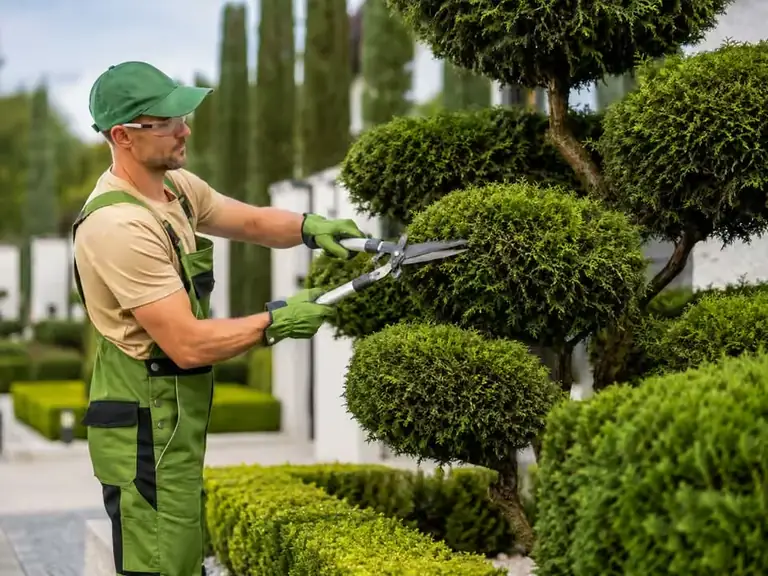 Jardinero realizando poda de arbustos y vegetación ornamental en un jardín